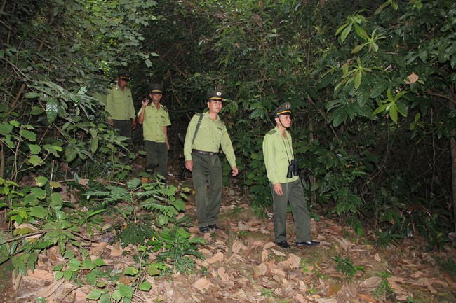 Lực lượng bảo vệ rừng ở Quảng Nam ngày đêm túc trực